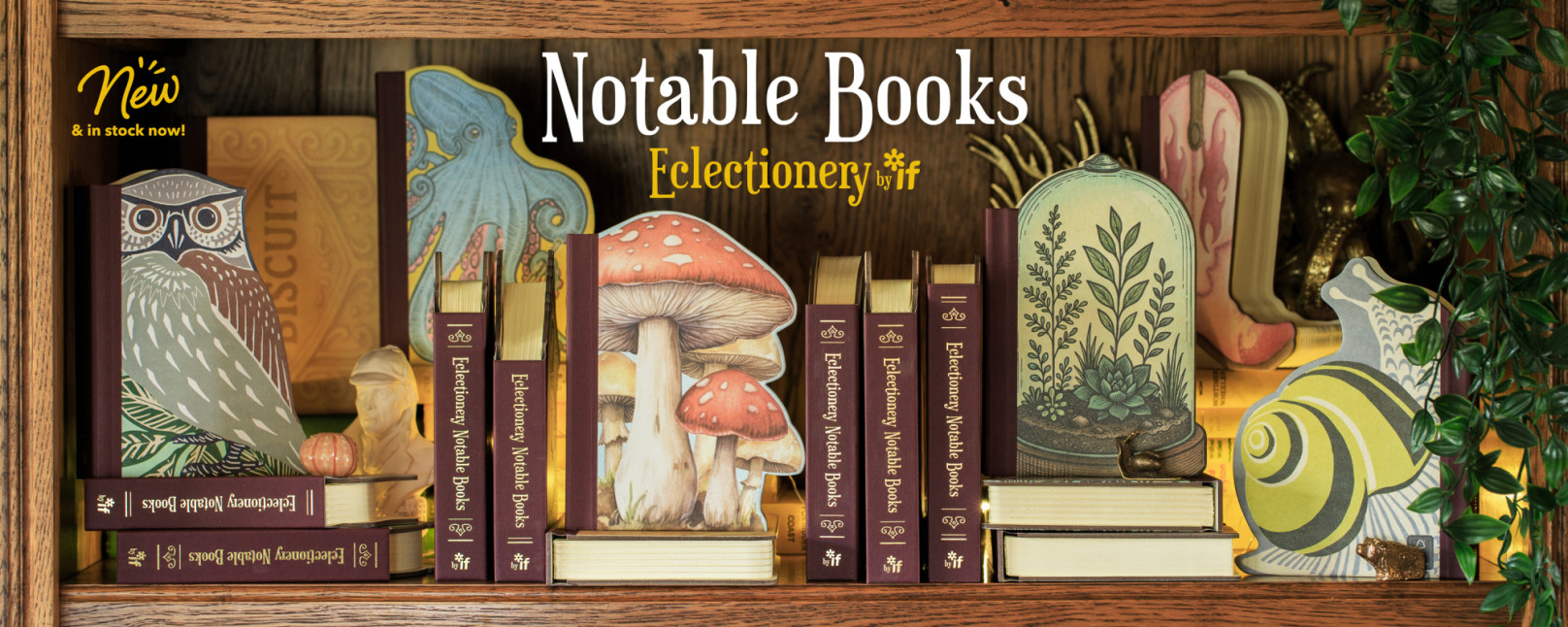 386-Eclectionery-Notable-Books-Homepage-Banner-Desktop